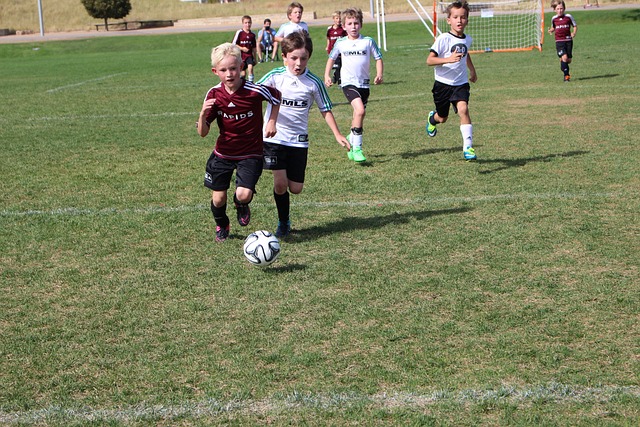 仅是技巧的 仅是技巧的