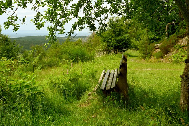 善赛的契机 善赛的契机