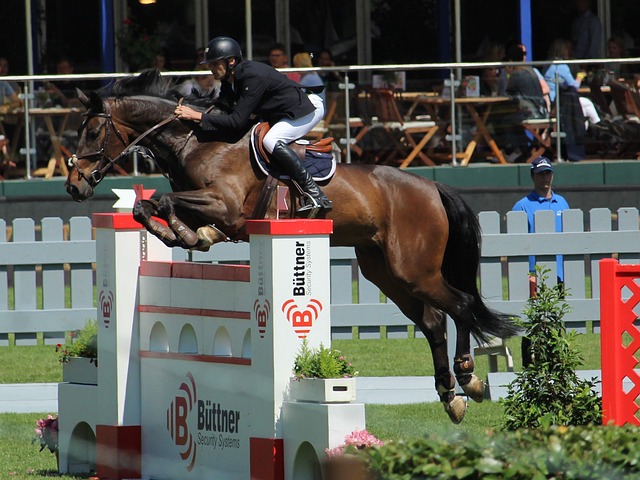 增长的主要 增长的主要