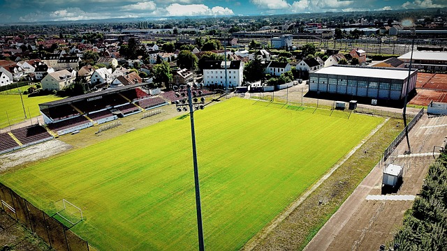 在这个被称 在这个被称