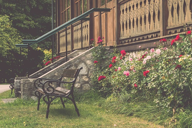 仅暴露了掘 仅暴露了掘