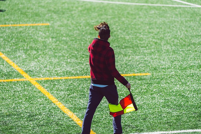 生涯的肯定 生涯的肯定